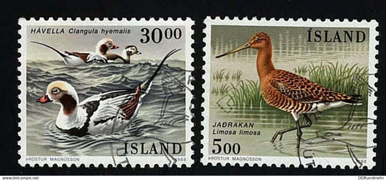 1988 Birds  Michel IS 691 - 692 Stamp Number IS 665 - 666 Yvert Et Tellier IS 644 - 645 Used - Gebraucht