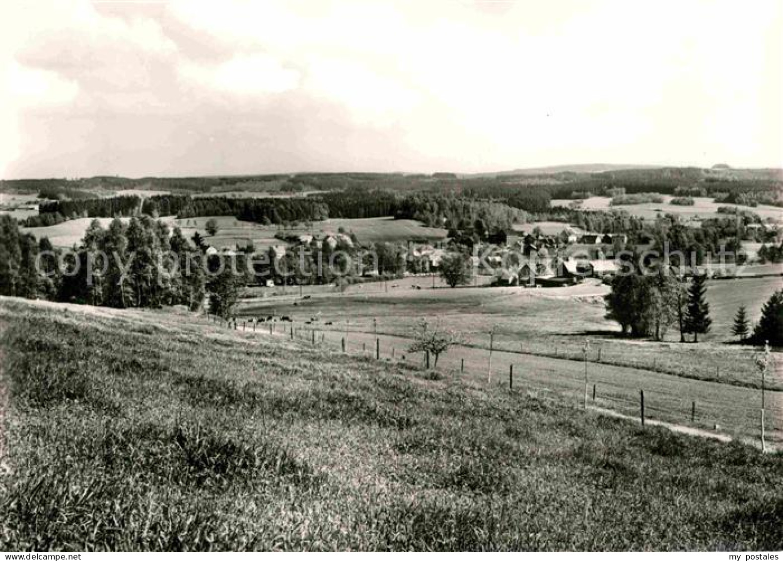 72728610 Schoenau Falkenstein Panorama Schoenau Falkenstein - Falkenstein (Vogtland)