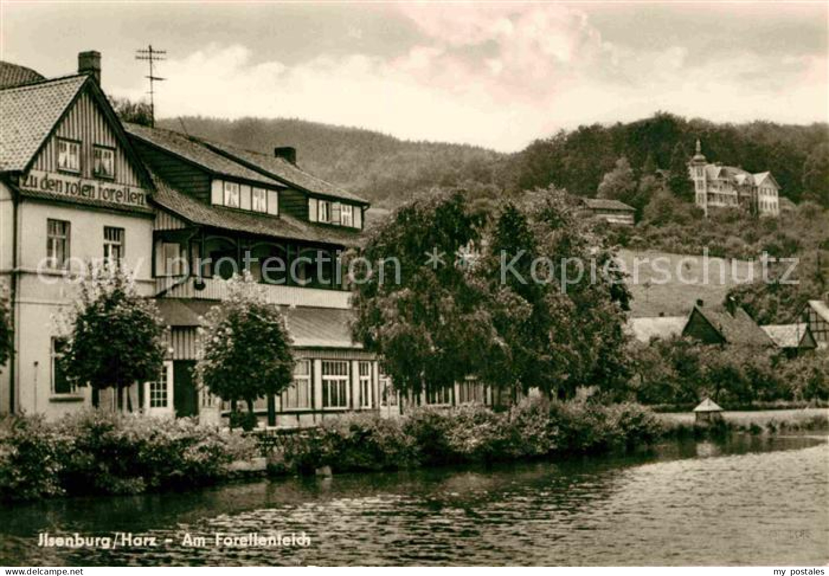 72728598 Ilsenburg Harz Partie Am Forellenteich Gasthaus Restaurant Ilsenburg - Ilsenburg