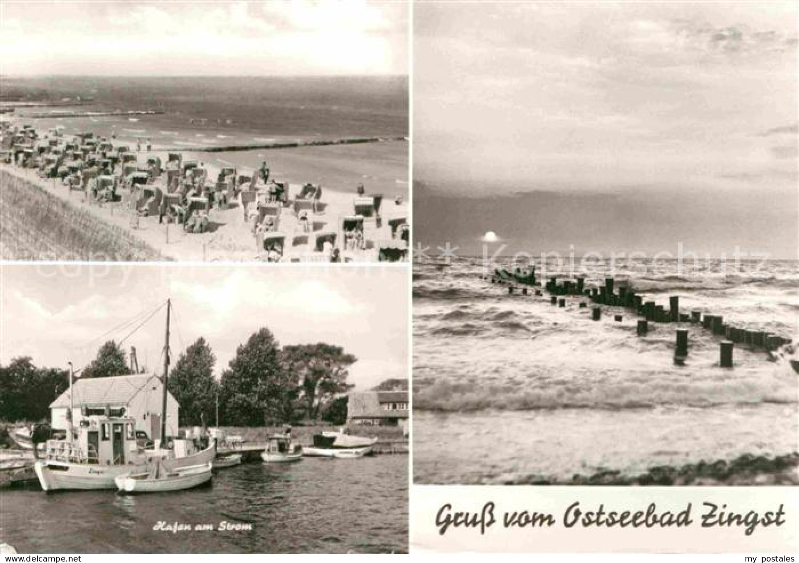 72728471 Zingst Ostseebad Strand Hafen Am Strom Zingst Darss - Zingst