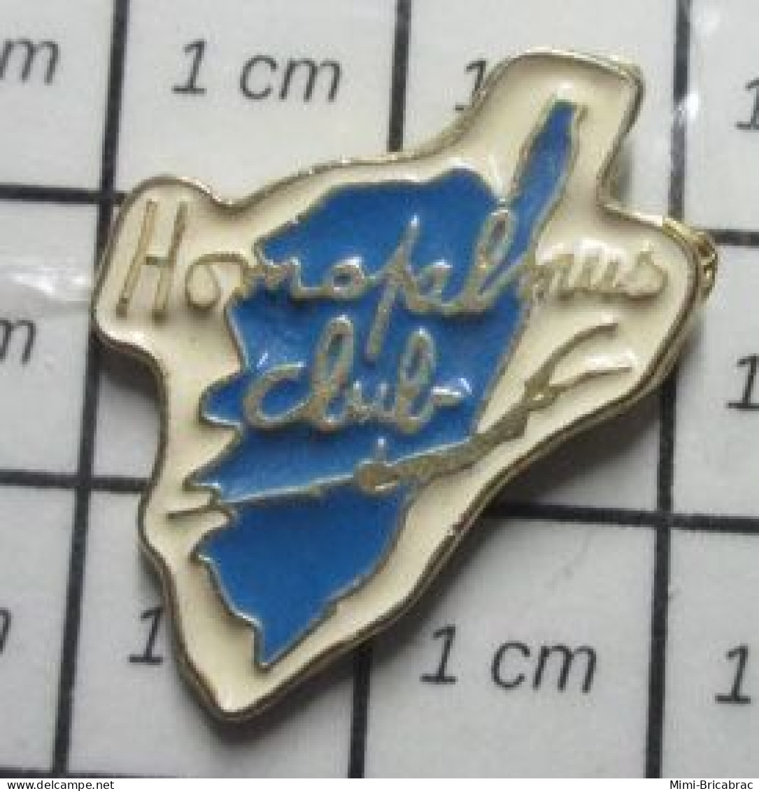 713K Pin's Pins / Beau Et Rare / SPORTS / PLONGEE SOUS MARINE HOMOPALMUS CLUB CORSE - Plongée