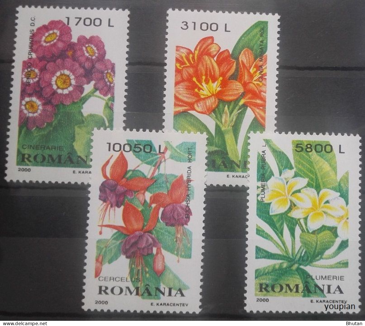 Romania 2000, Decorative Plants, MNH Stamps Set - Nuovi