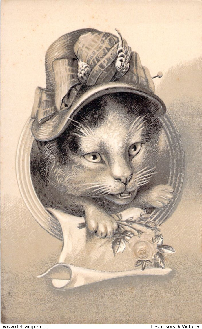 Animaux Habillés - Carte En Relief - Chat Avec Joli Chapeau - Maison Dandois - Huy Roux Namur - Carte Postale Ancienne - Dressed Animals