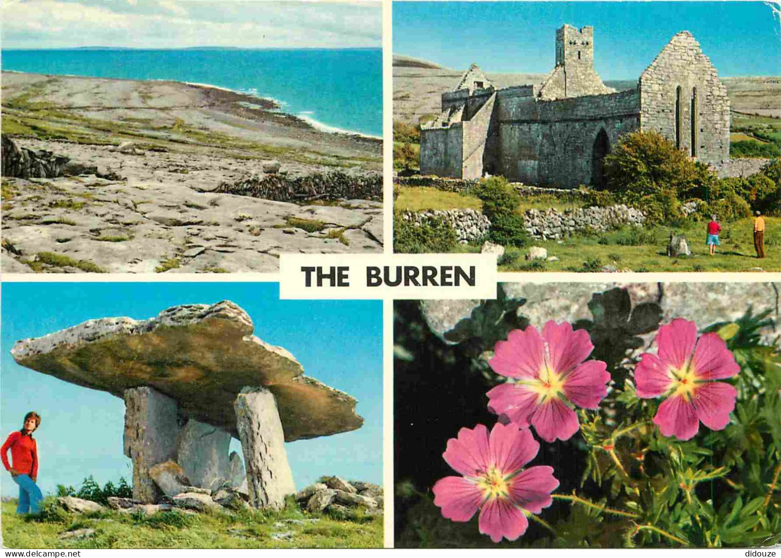 Irlande - Clare - The Burren - Multivues - Fleurs - CPM - Carte Neuve - Voir Scans Recto-Verso - Clare