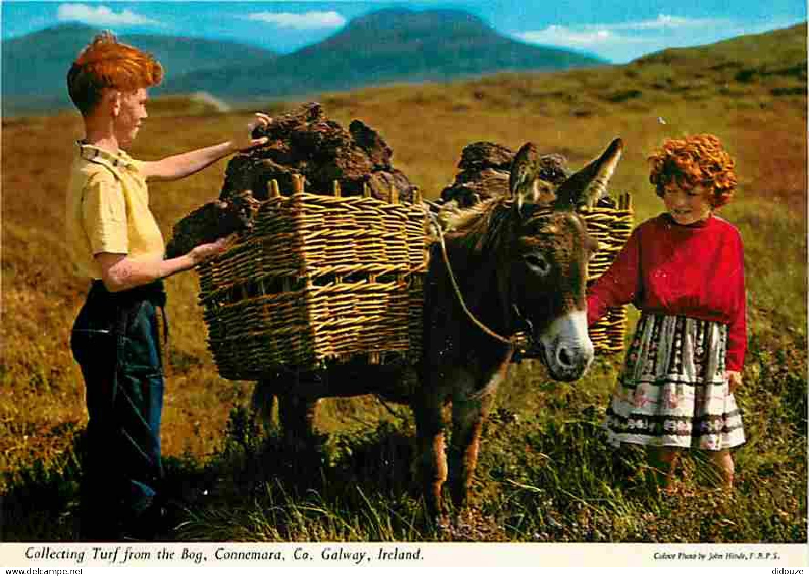 Irlande - Galway - Connemara - Collectif Turf From The Bog - Anes - Enfants - Carte Neuve - CPM - Voir Scans Recto-Verso - Galway