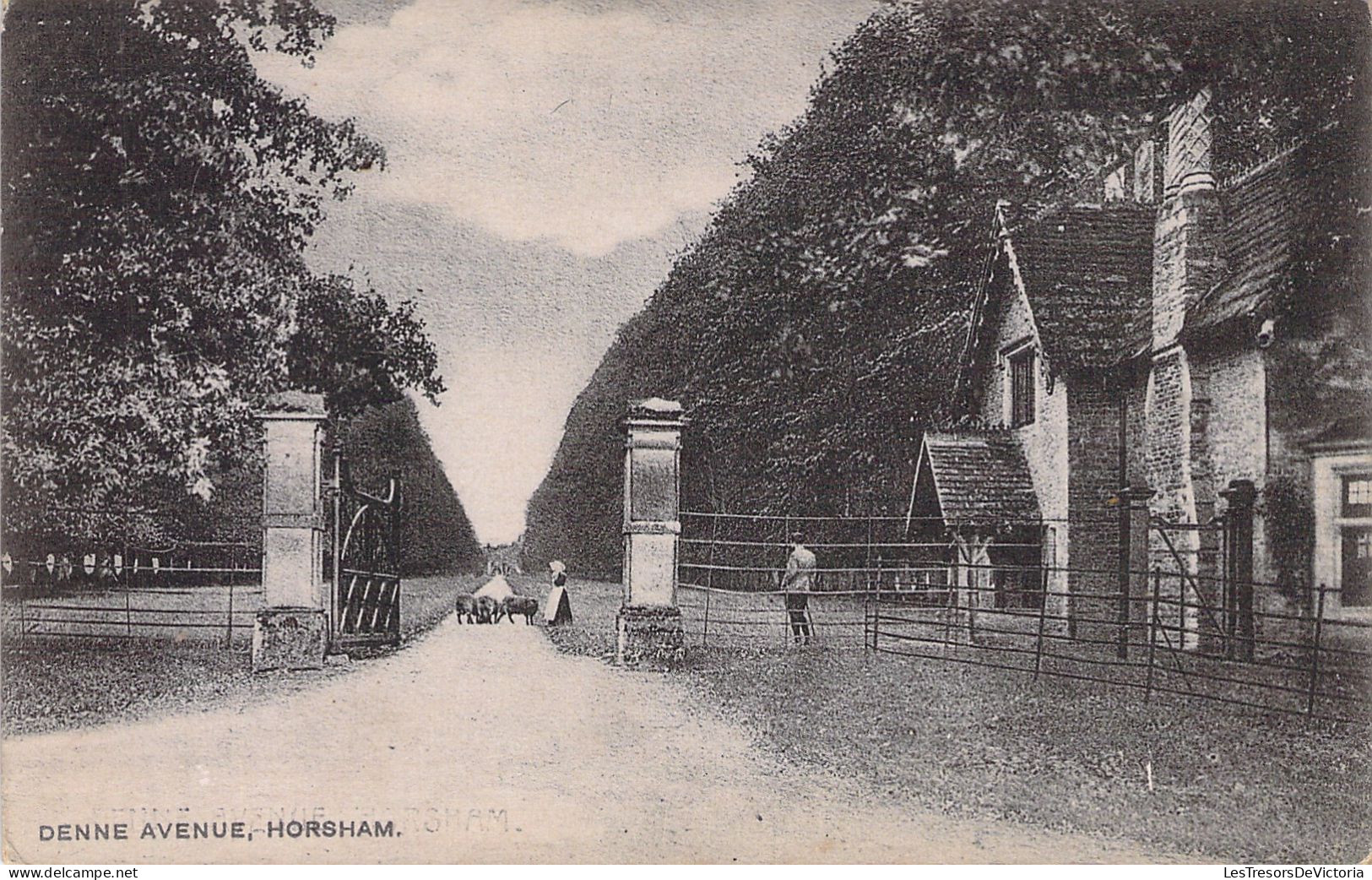 Angleterre - Denne Avenue - Horsham - Carte Postale Ancienne - Autres & Non Classés