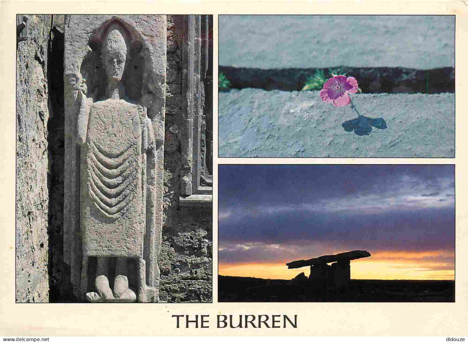 Irlande - Clare - The Burren - Multivues - Fleurs - Art Religieux - CPM - Voir Scans Recto-Verso - Clare