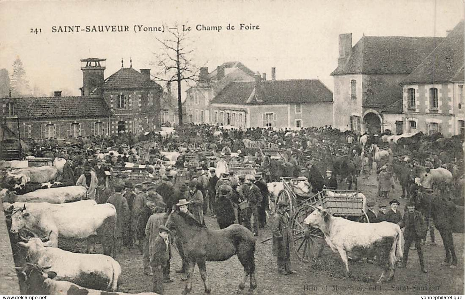 89 - YONNE - SAINT-SAUVEUR-EN-PUISAYE - Le Champ De Foire - 11394 - Saint Sauveur En Puisaye