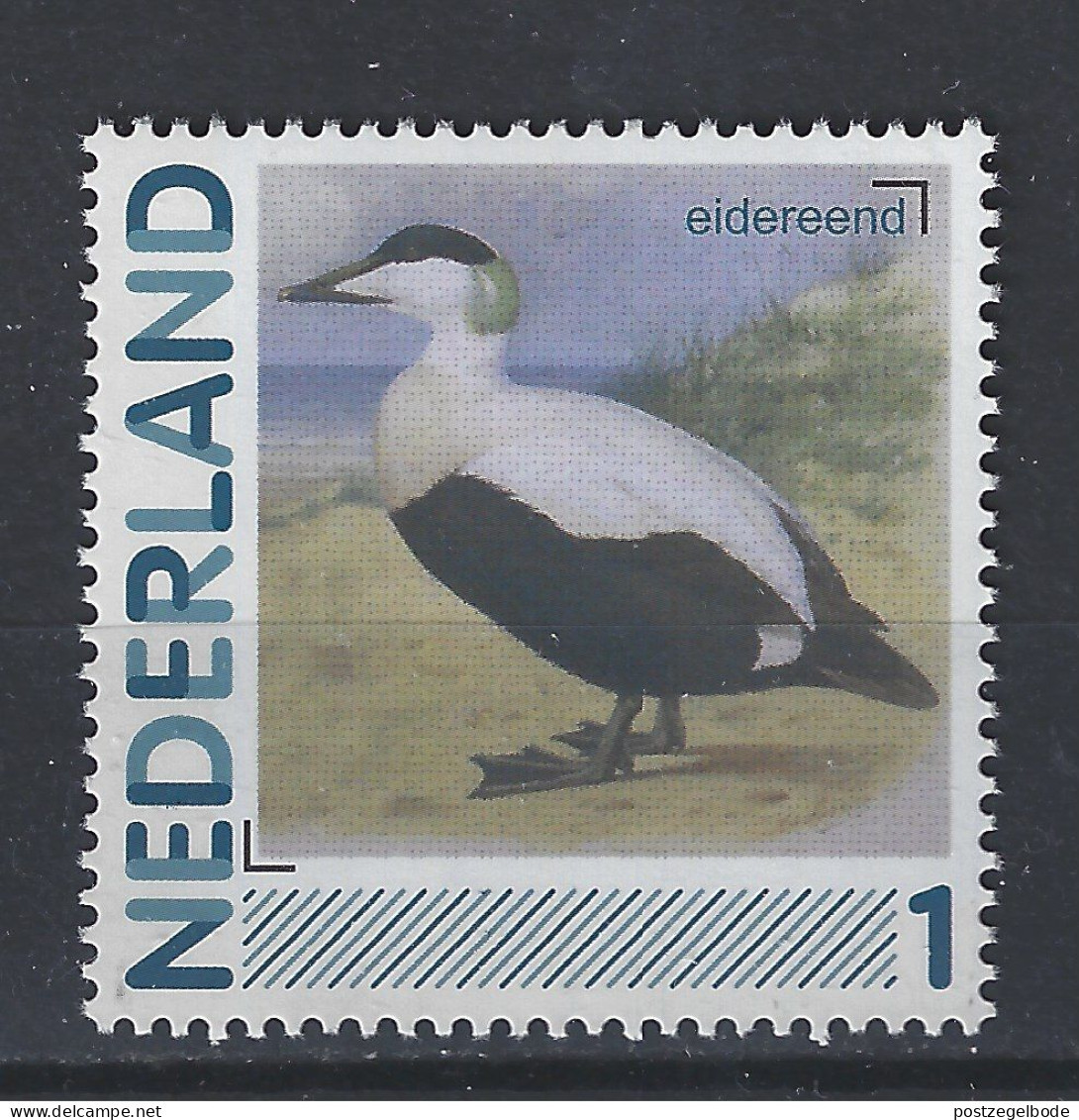 Netherlands Nederland Pays Bas Holanda Niederlande MNH ; Eider Eend Duck Canard Pato  Vogel Bird Ave Oiseau - Anatre