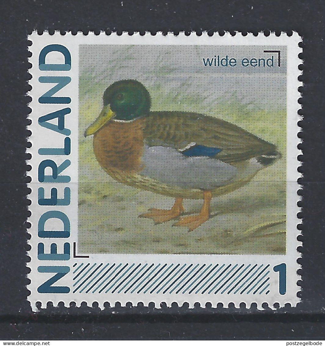 Netherlands Nederland Pays Bas Holanda Niederlande MNH ; Eend Duck Canard Pato Wilde Eend Anade Canard Colvert Mallard - Canards