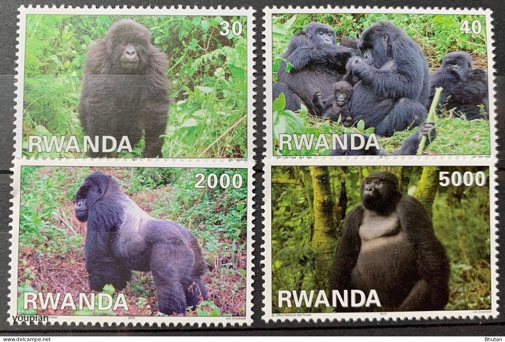 Rwanda 2010, Gorillas Of Rwanda, MNH Stamps Set - Ungebraucht