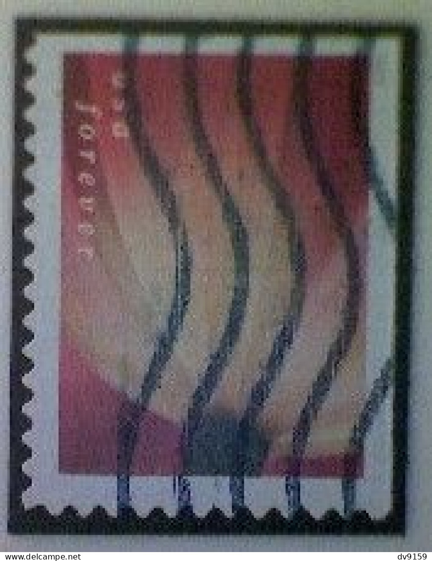 United States, Scott #5777, Used(o), 2023, Tulip Blossom, (63¢), Multicolored - Usati