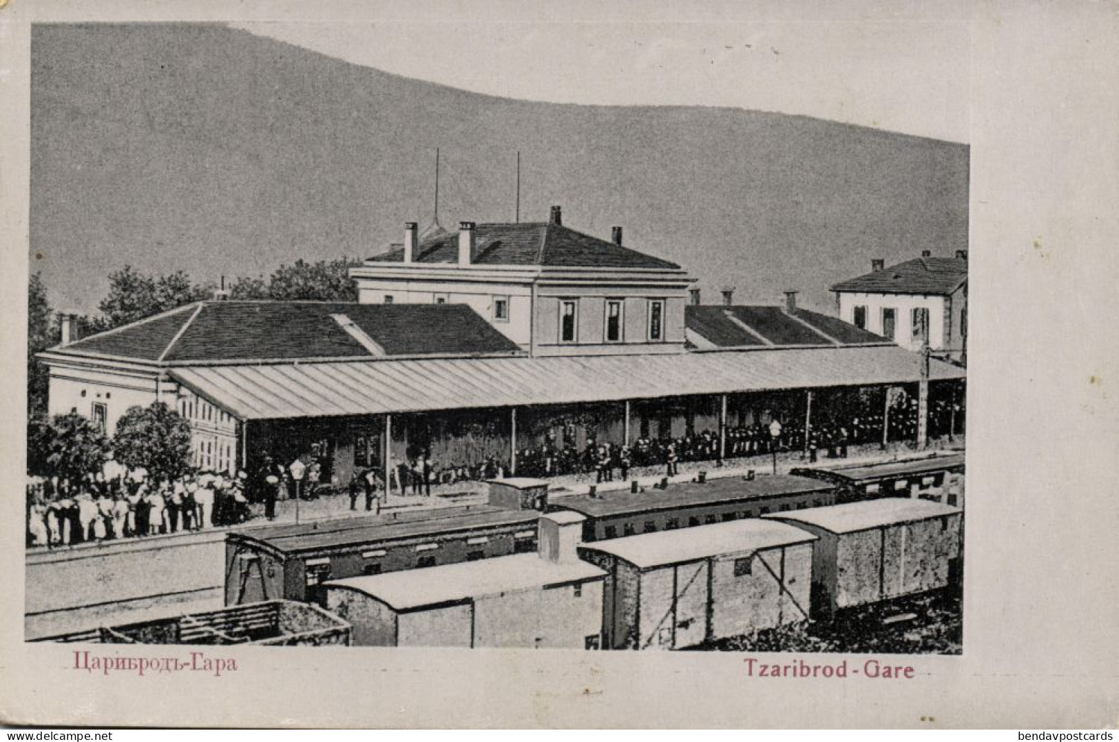 Serbia, DIMITROVGRAD TZARIBROD, Railway Station (1908) Postcard - Serbie
