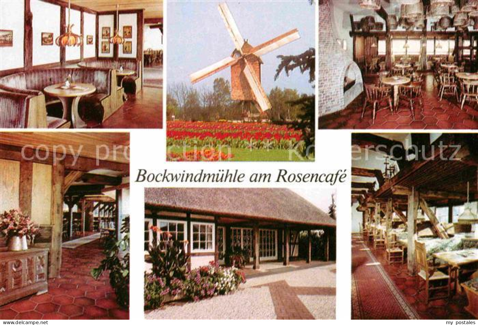 72714690 Walsrode Lueneburger Heide Vogelpark Bockwindmuehle Am Rosencafe Gastra - Walsrode