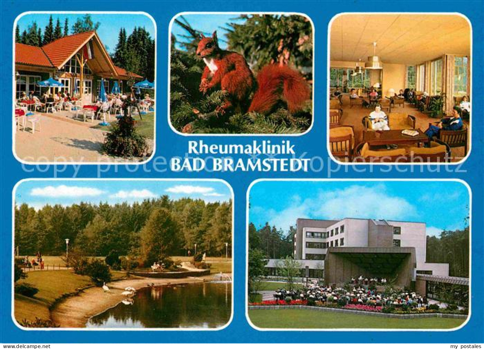 72713363 Bad Bramstedt Rheumaklinik Solbad Moorbad Eichhoernchen Schwanensee Kur - Bad Bramstedt