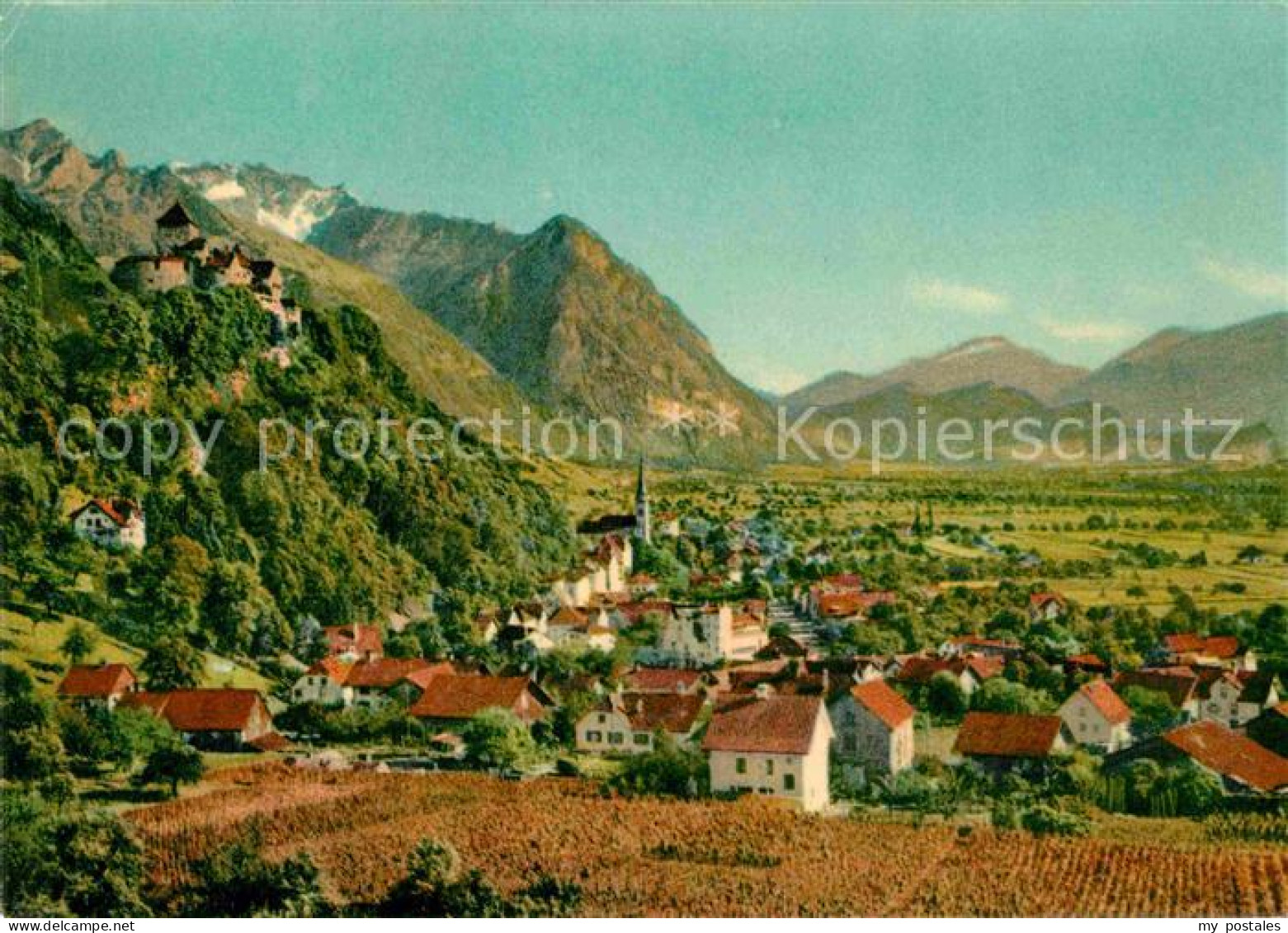 72713177 Vaduz Fuerstentum Liechtenstein Vaduz - Liechtenstein