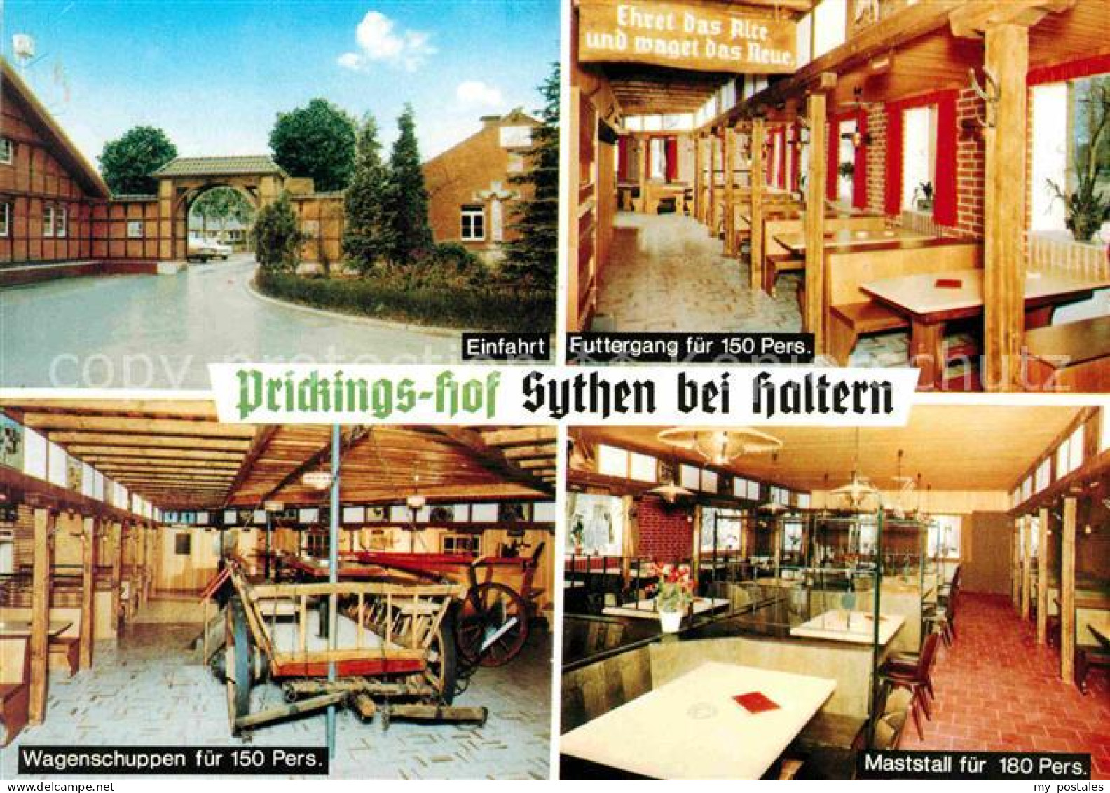 72707725 Sythen Europahof Prickingshof Bauernhof Haltern Am See - Haltern