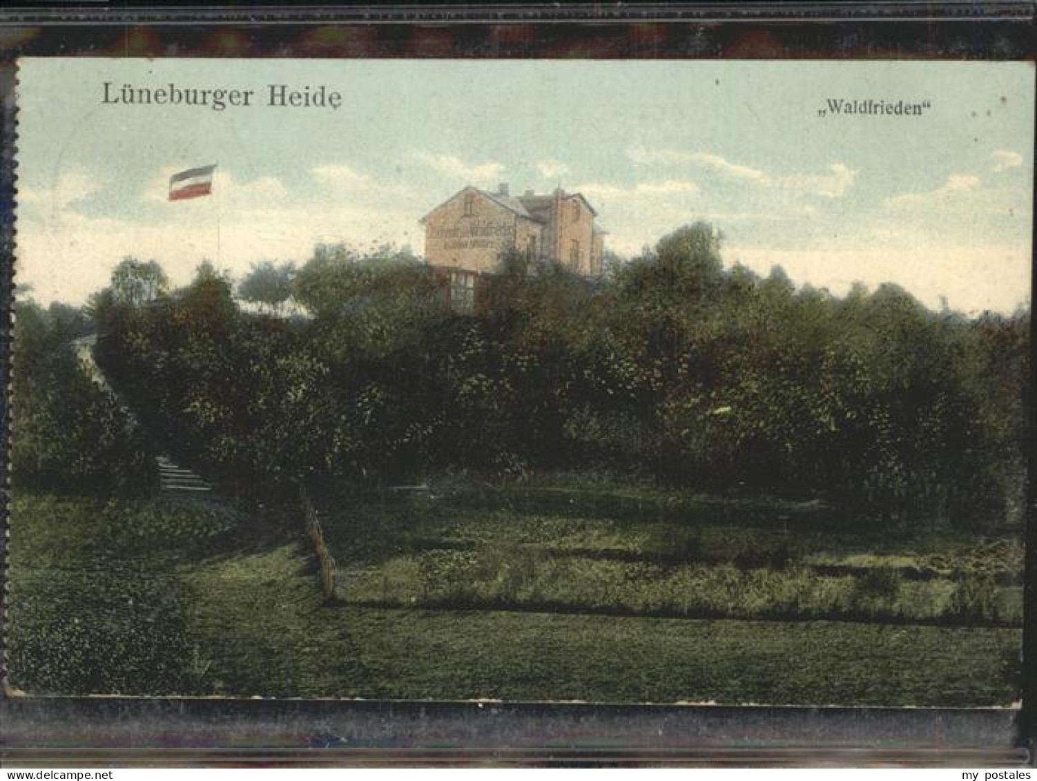 41089519 Lueneburger Heide Waldfrieden Lueneburger Heide - Walsrode