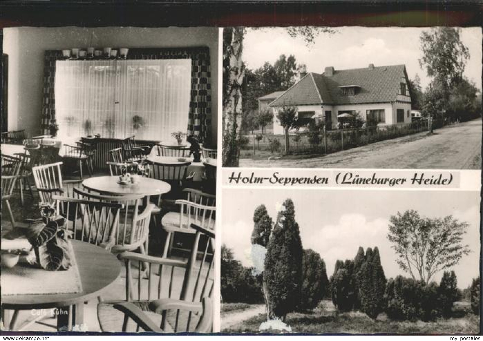 41089518 Holm-Seppensen Lueneburger Heide Holm-Seppensen - Buchholz