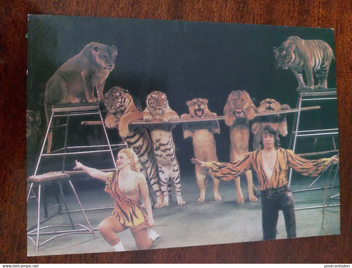 SOVIET CIRCUS. Animal Trainer Shevchenko - 1986. Tiger Lion - Tigres