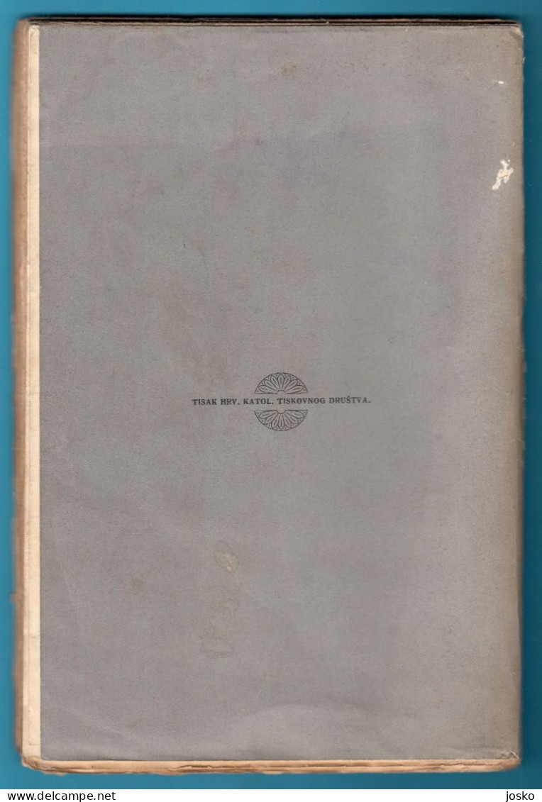 VINOGRADARSTVO - Ivan Rittig ... Croatia Old Book (1908) * Wine Wein Vin Vino Viticulture Weinbau Viticoltura - Langues Slaves