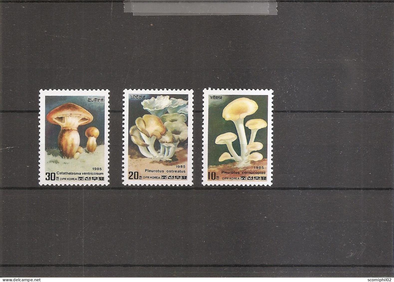 Corée Du Nord - Champignons ( 1794/1794B XXX -MNH ) - Corée Du Nord