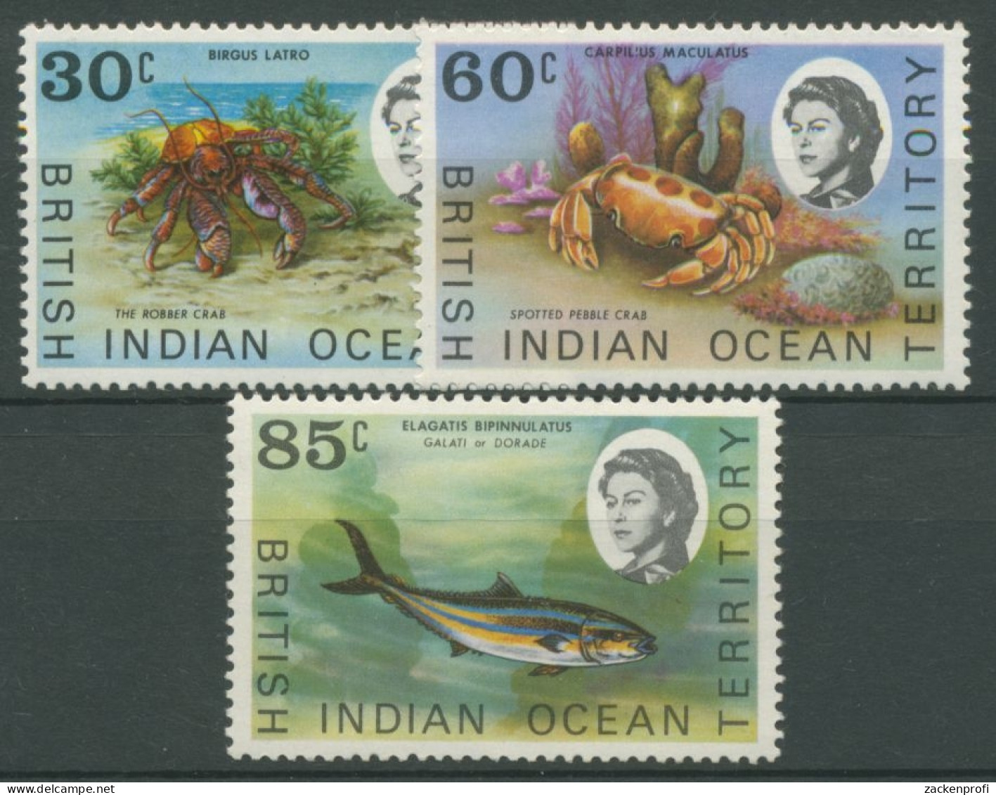 Brit. Territorium Im Indischen Ozean 1970 Meerestiere Krabbe 36/38 Postfrisch - Autres - Afrique