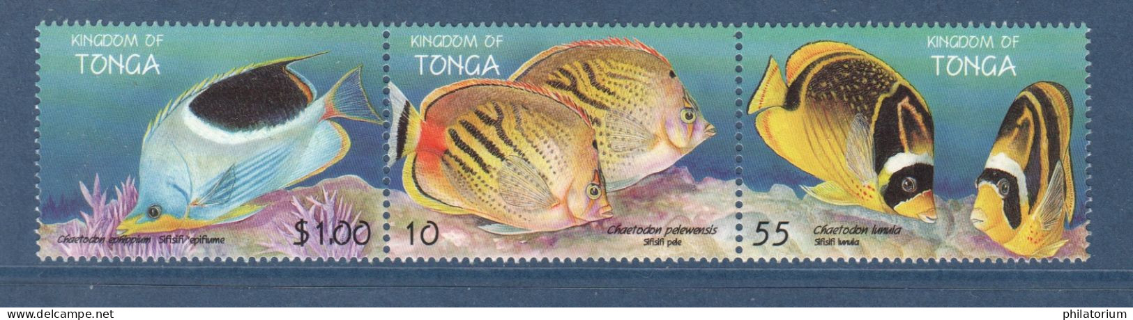 Tonga, **, Yv 1135, 1136, 1137, Mi 1536, 1537, 1538, SG 1440a, Poissons, - Tonga (1970-...)