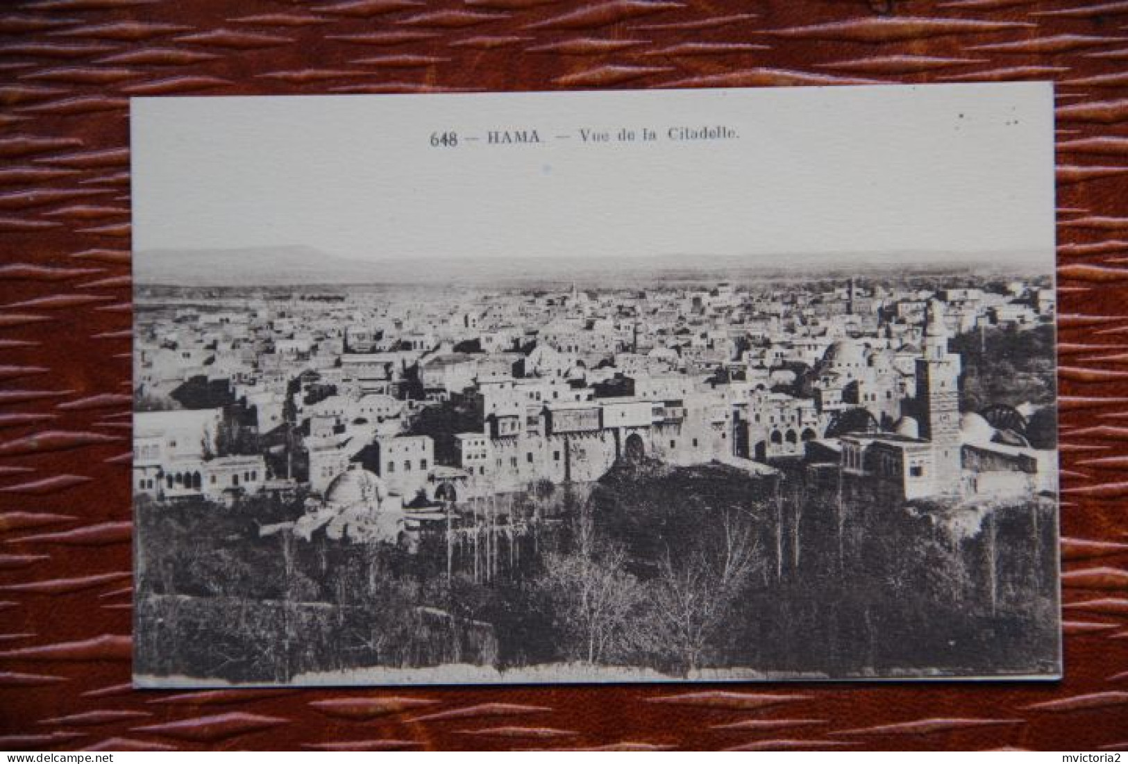 SYRIE - HAMA : Vue De La Citadelle - Syrie