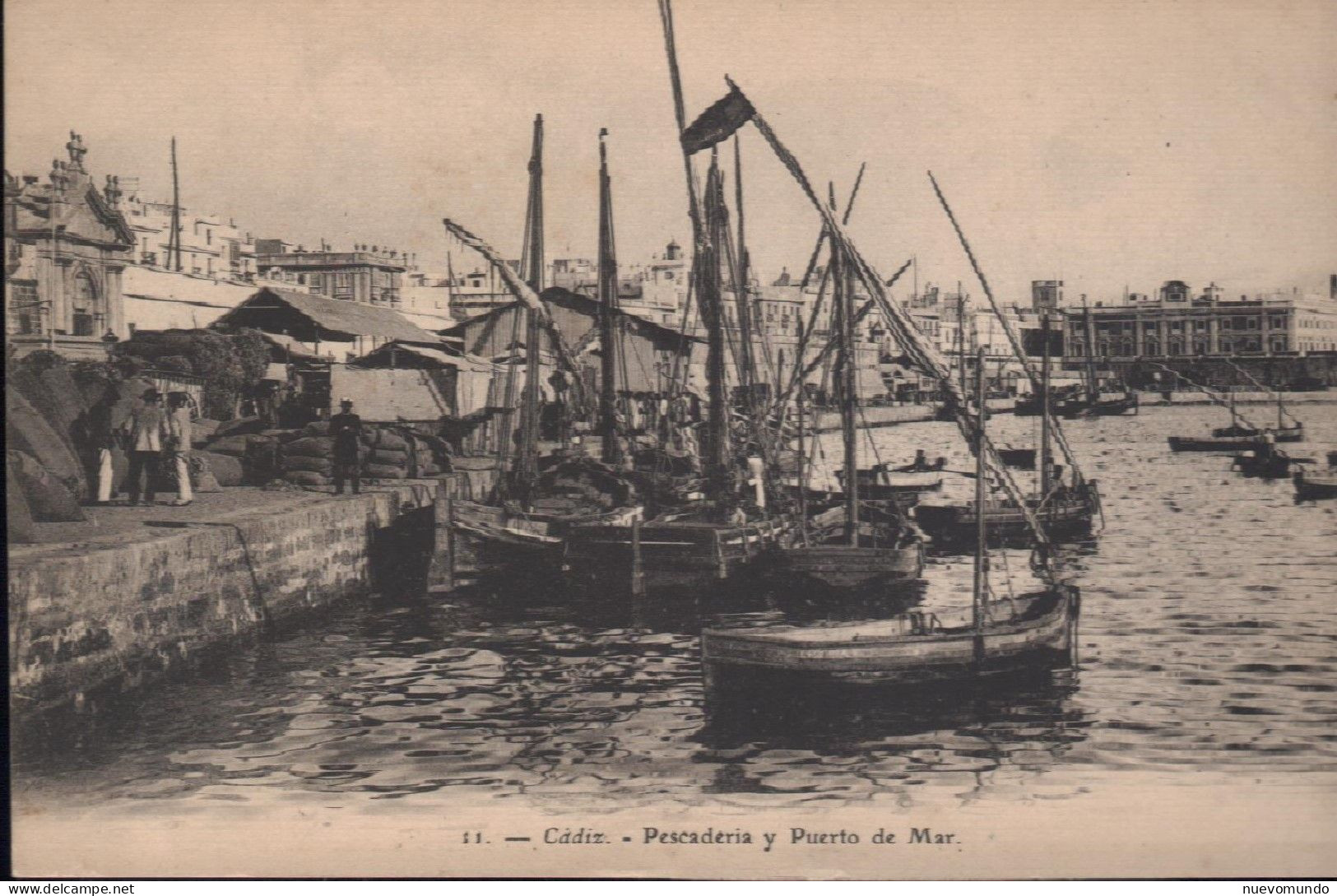 Cádiz.Pescadería Y Puerto De Mar.Editor E.J.G. Rara - Cádiz
