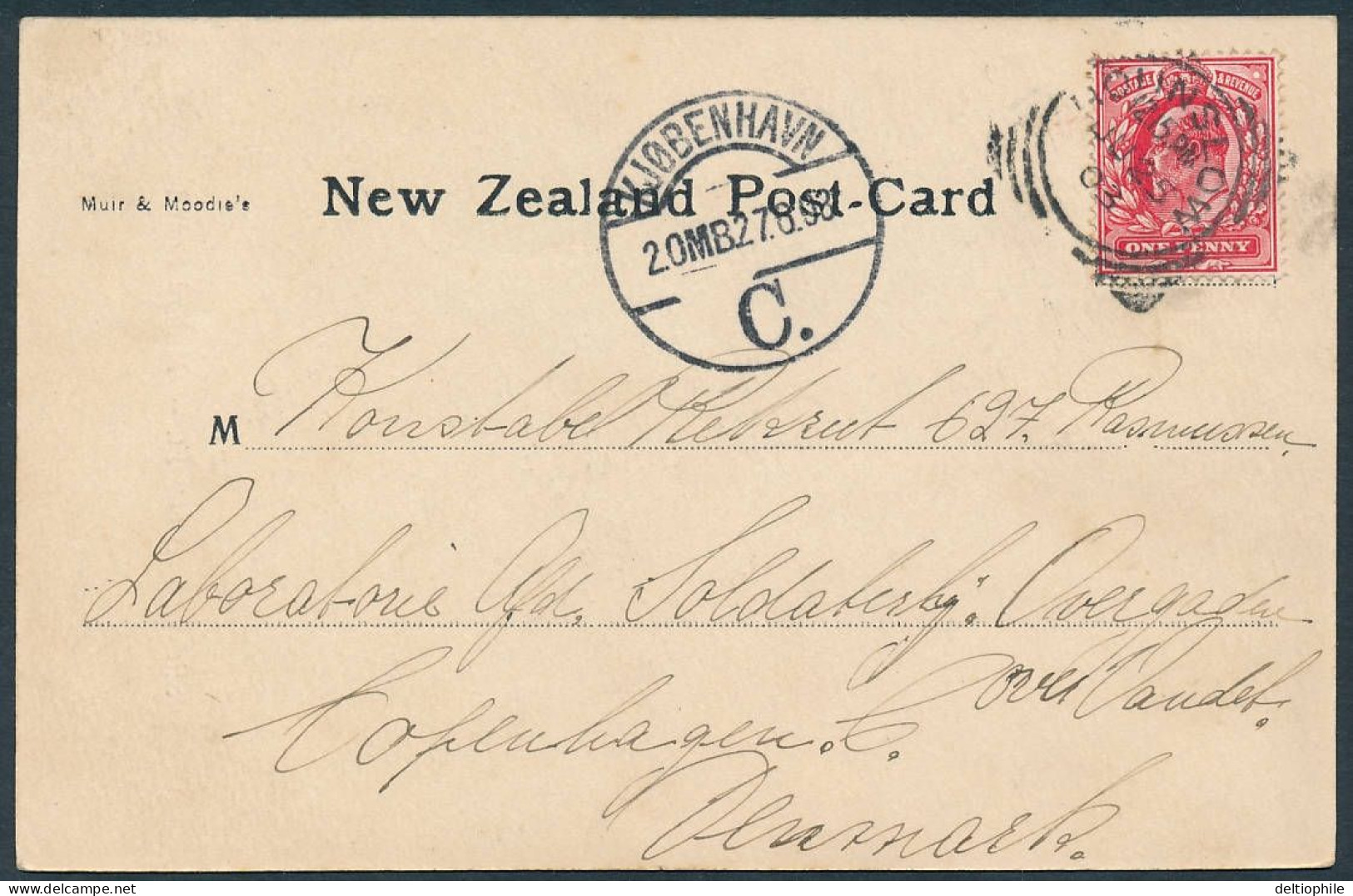 New Zealand, Stirling Falls, Waterfall, Milford Sound - Posted 1903, Undivided Back - Nouvelle-Zélande