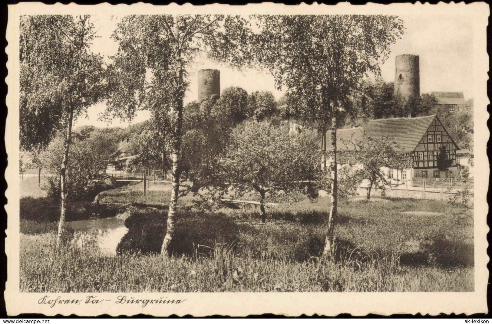 Ansichtskarte Kohren-Sahlis Burgruine, Birken Und Fachwerkhaus 1931 - Kohren-Sahlis