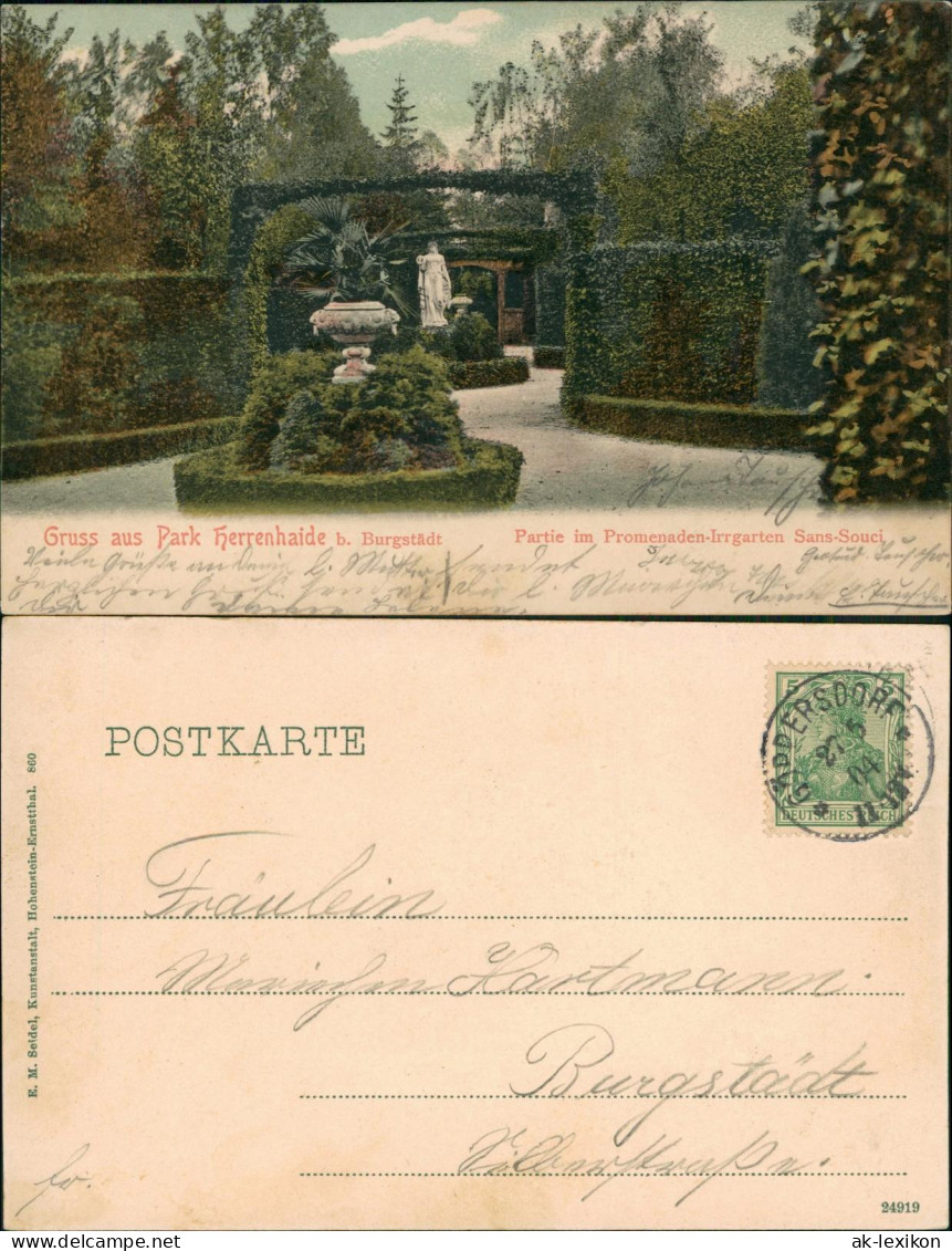 Burgstädt Gruss Aus Park Herrenhaide, Promenaden-Irrgarten Sans-Souci 1904 - Burgstädt