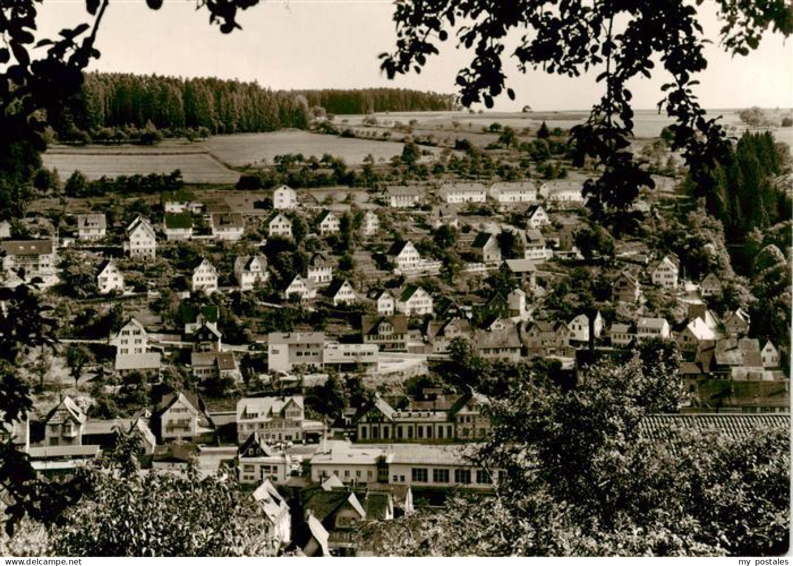 73958968 Altensteig_Schwarzwald Panorama Luftkurort - Altensteig