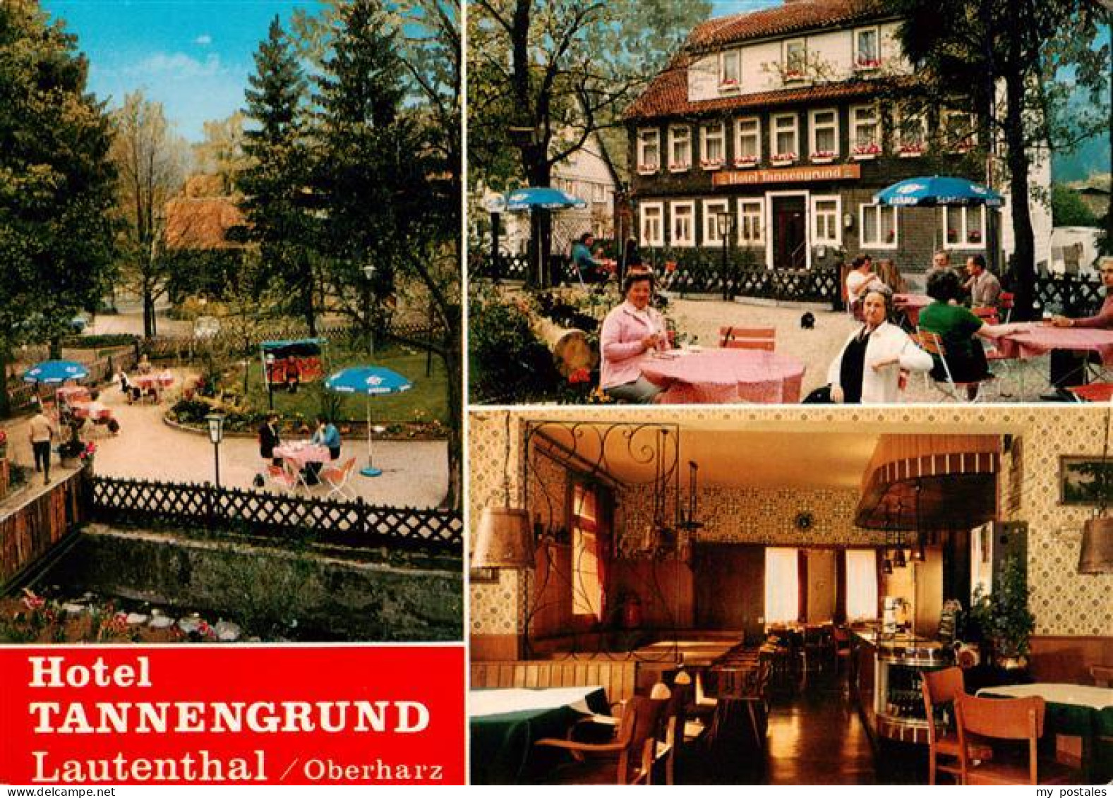 73919444 Lautenthal Harz Hotel Tannengrund Park Terrasse Gastraum - Langelsheim