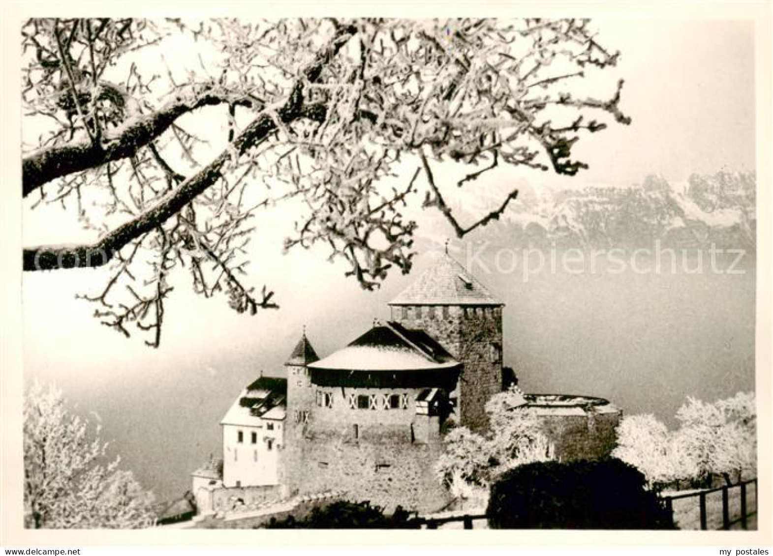 73811202 Liechtenstein Fuerstentum Schloss Vaduz  - Liechtenstein