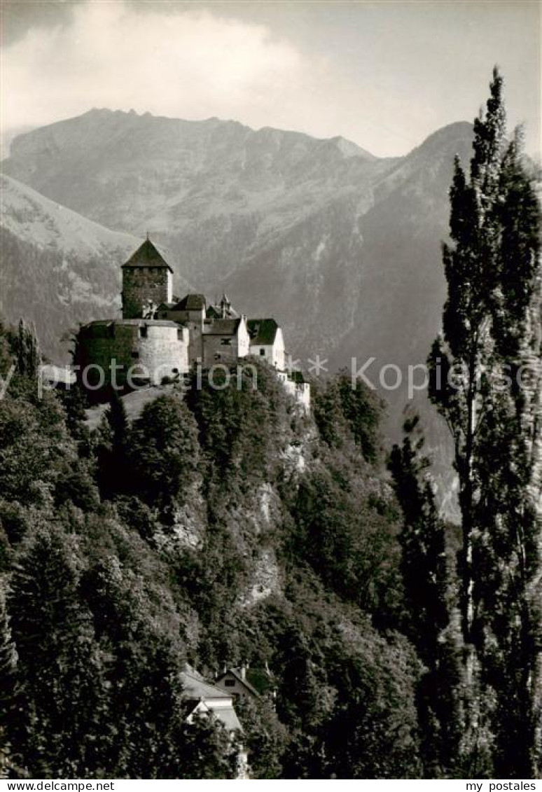 73811197 Liechtenstein Fuerstentum Schloss Vaduz  - Liechtenstein