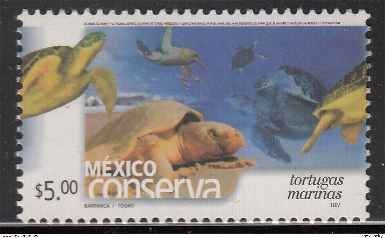 MEXICO 2003 $5 SEA TURTLES Ptg. Perf. 14 On Thick Paper, MNH, Nice Bargain Priced Junk - Mexico