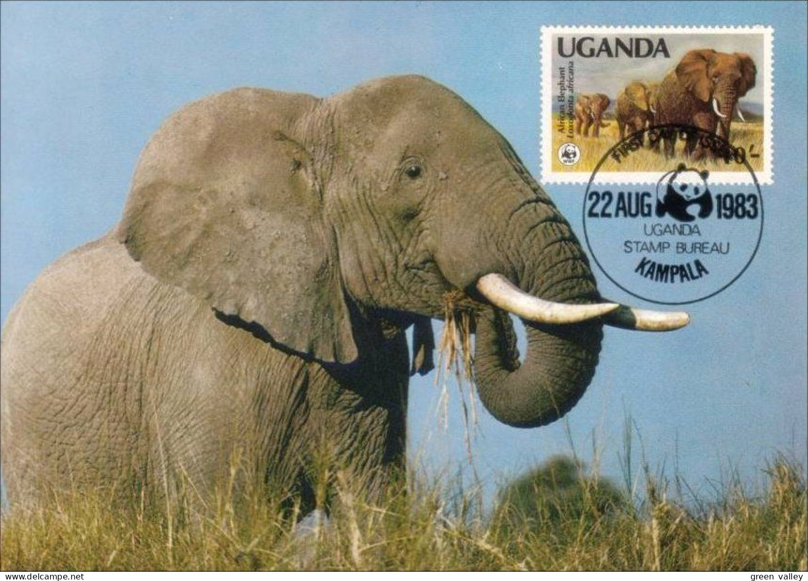 A40 439a Carte Maximum Elephant Elefant Elefante Olifant Norsu WWF - Elefanten