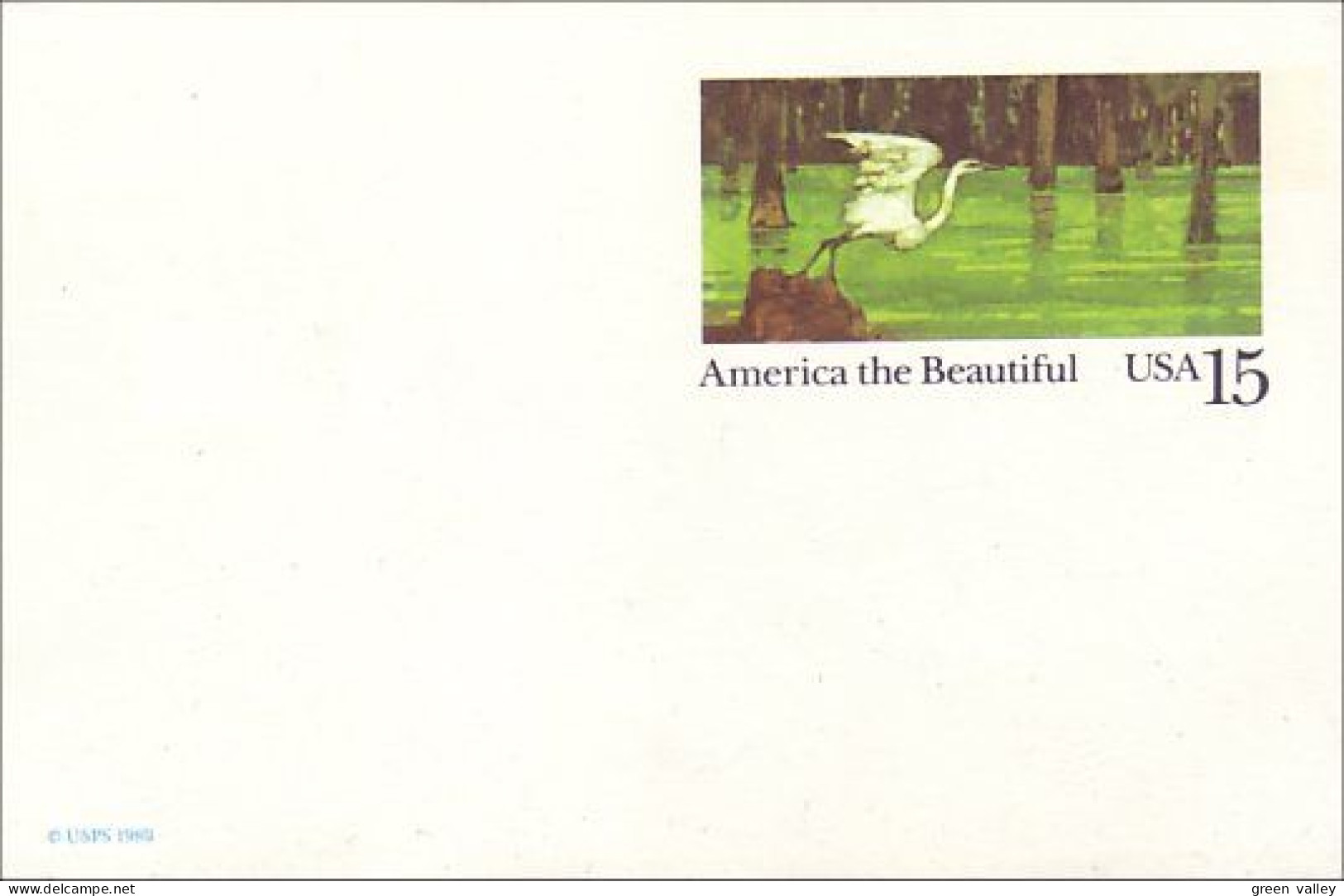 A42 113 US Postcard Heron - Kranichvögel