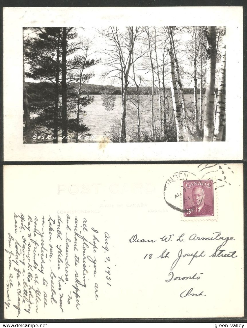 A45 735 Canada Photo Lac Arbres Trees Lake Circulé 1956 - Peterborough