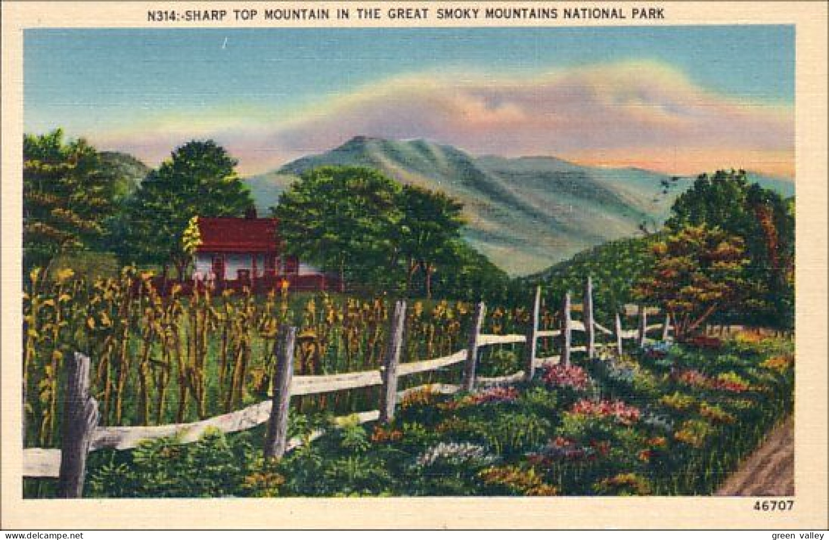 A45 616 CP Sharp Top Mountain Great Smoky Mountains National Park - Autres & Non Classés