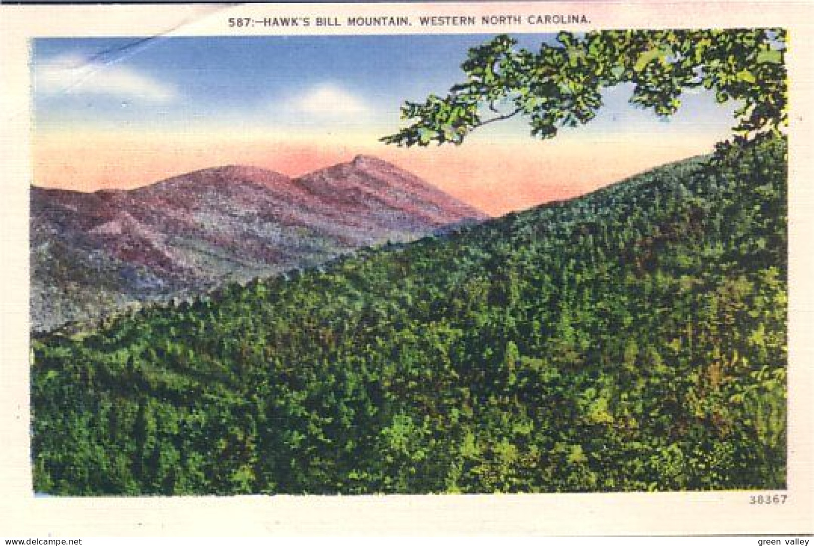 A45 619 CP Hawk Bill Mountain Western North Carolina - Autres & Non Classés