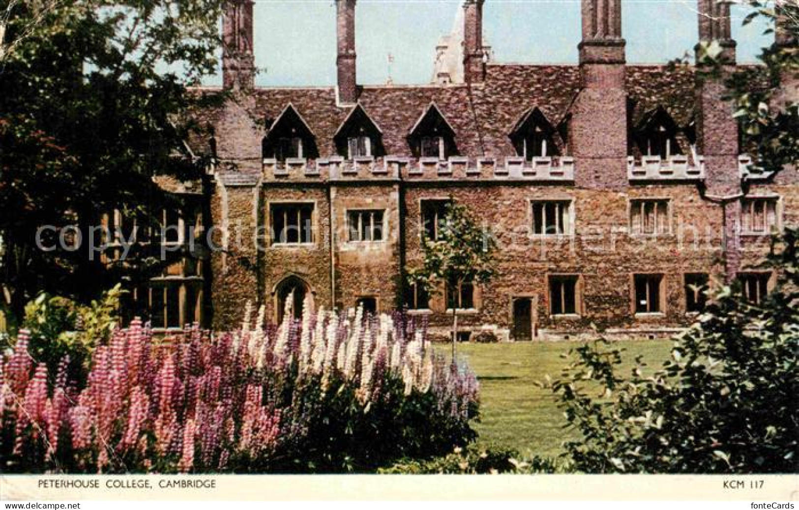 72780034 Cambridge Cambridgeshire Peterhouse College Cambridge - Other & Unclassified