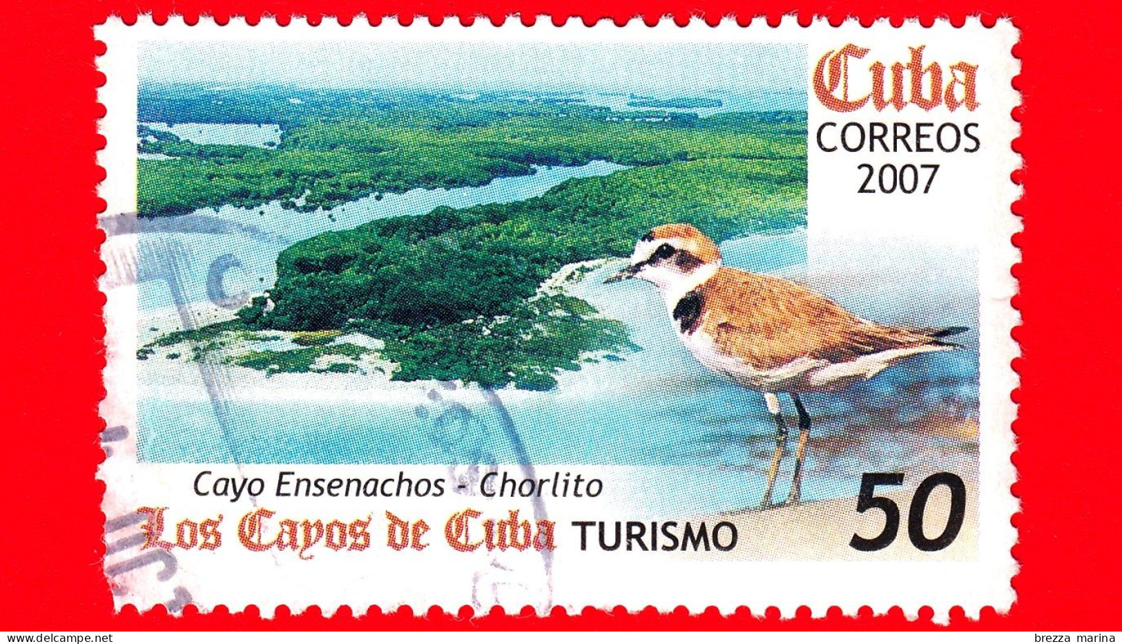 CUBA - Usato - 2007 - Turismo & Fauna - Los Cayos De Cuba - Cayo Ensenachos - Chorlito - 50 - Vedi .... - Used Stamps