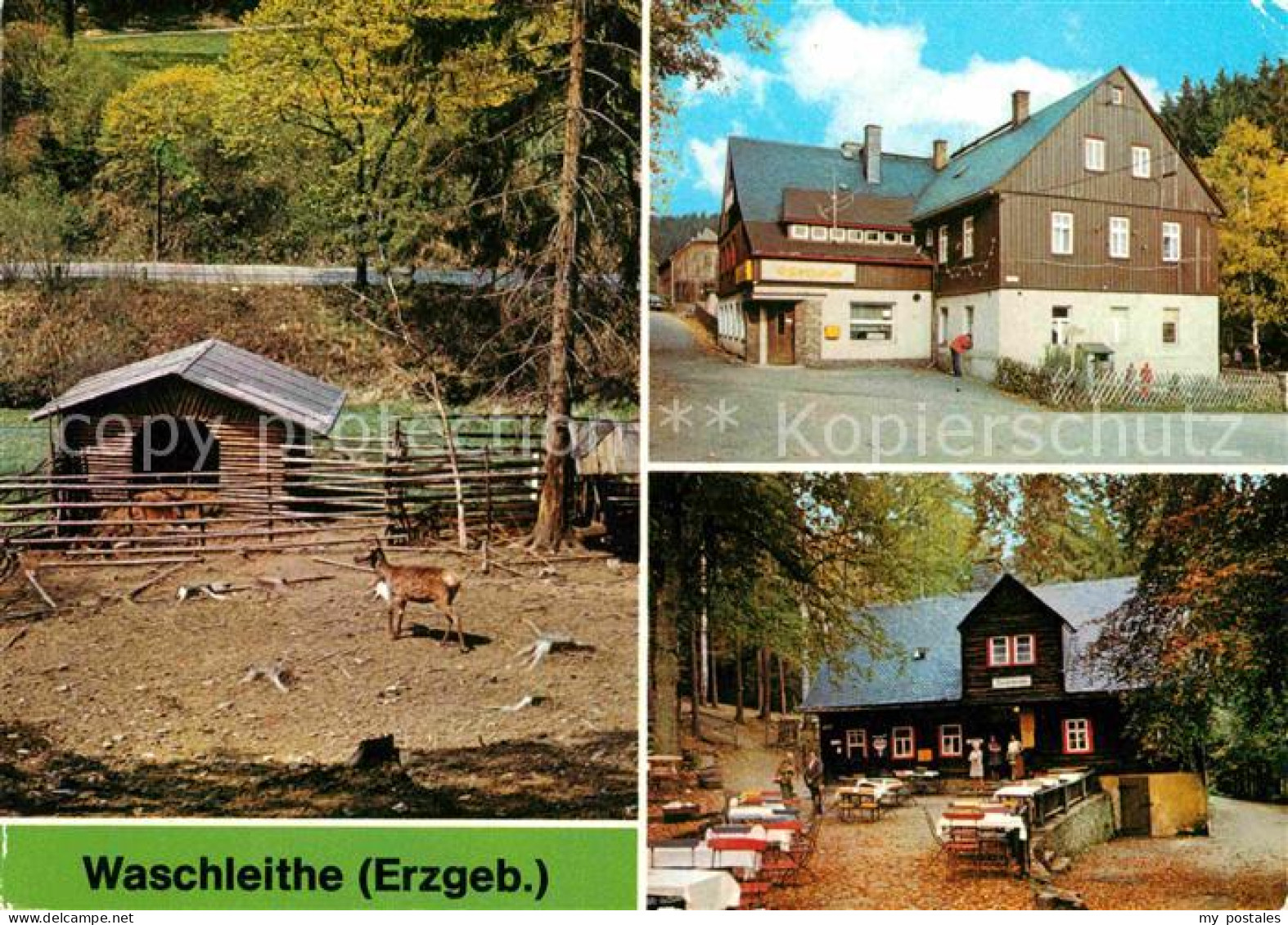 72799359 Waschleithe Tierpark Gaststaetten Beierfeld Erzgebirge - Grünhain