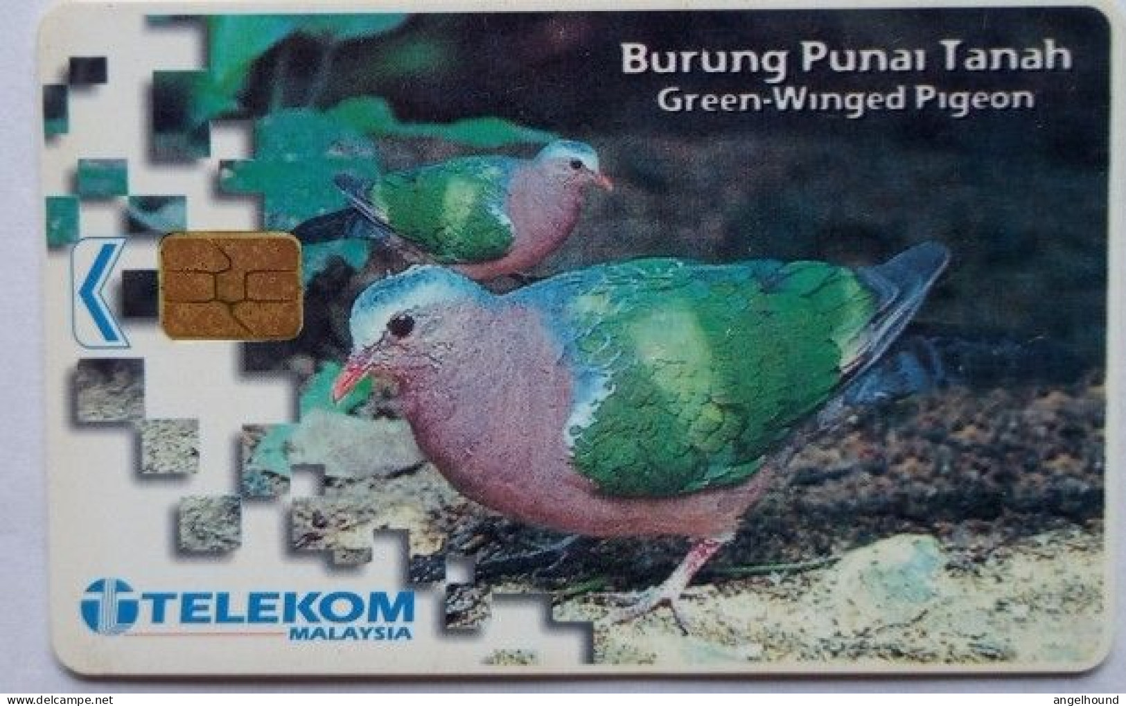 Malaysia RM5 Chip Card - Burung Punai Tanah - Malaysia