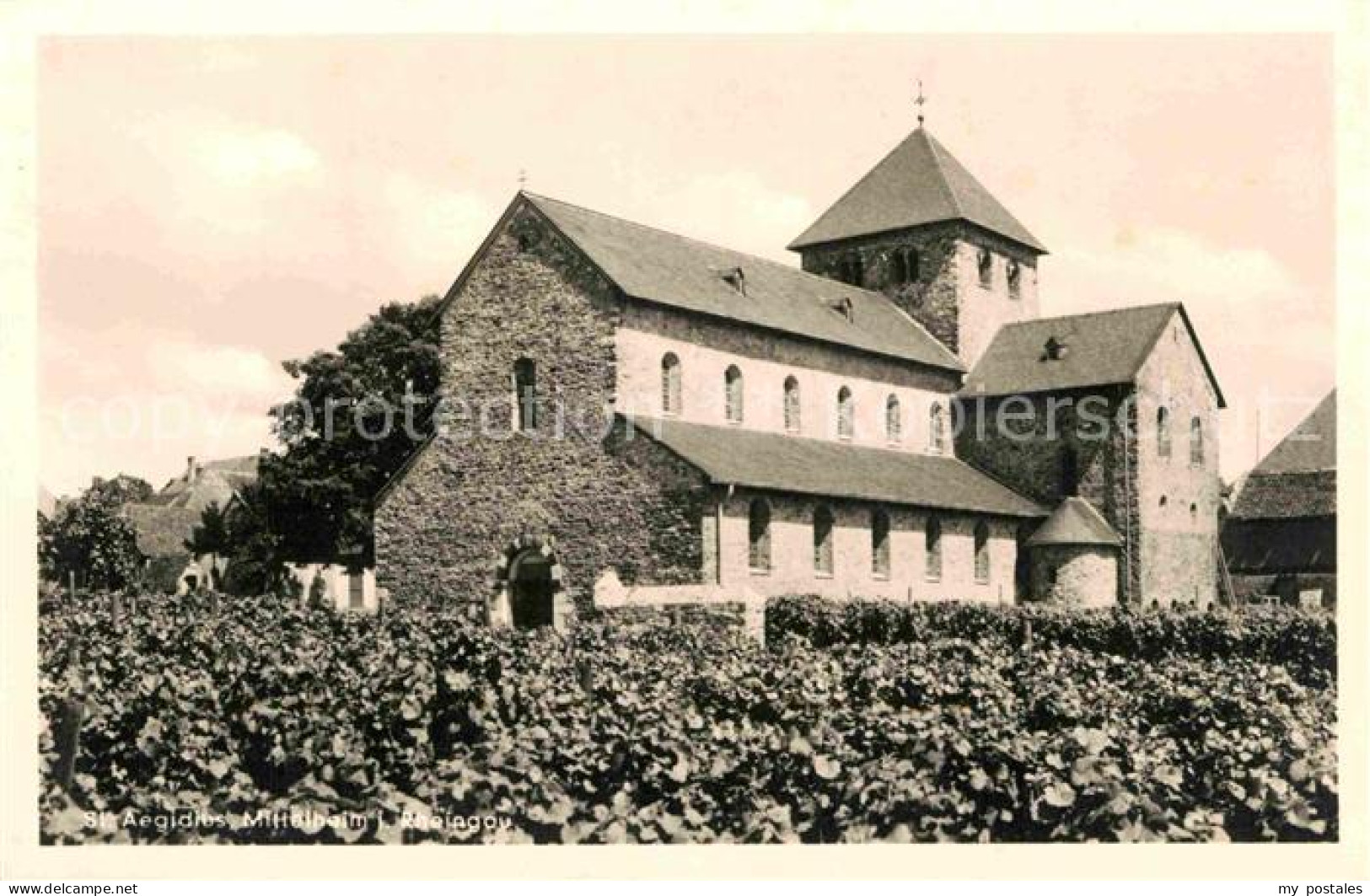 72795961 Mittelheim Rheingau Sankt Aegidius Mittelheim Rheingau - Oestrich-Winkel