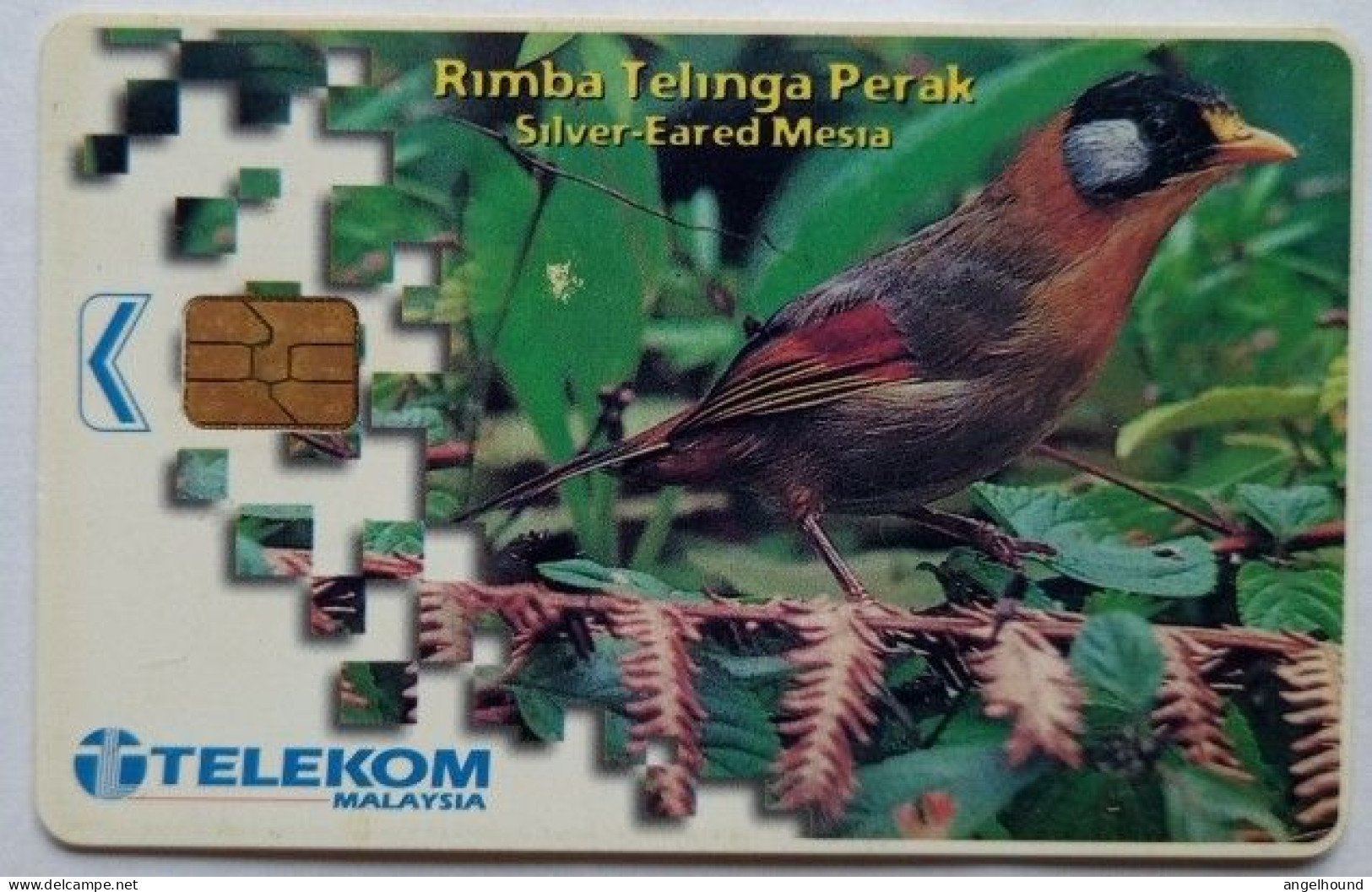Malaysia RM20 Chip Card - Rimba Telinge Perak ( Silver-Eared Mesia - Malaysia
