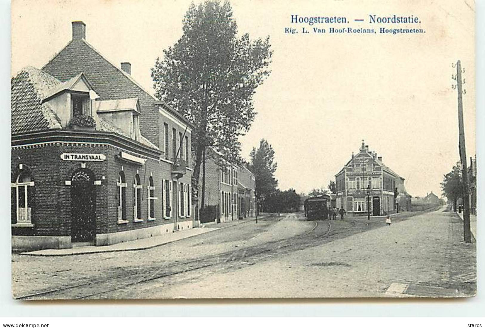 Belgique - HOOGSTRATEN - Noordstatie - In Transvaal - Tramway - Hoogstraten